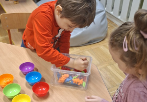 segregowanie drobnych elementów przy pomocy pęsety